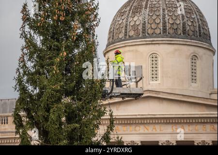 London, Großbritannien. Dezember 2024. Ansicht der Arbeiter auf einem Kran, der einen Weihnachtsbaum am Trafalgar Square schmückt. Oslo schenkt London jedes Jahr eine norwegische Fichte als Dankeschön für die Unterstützung Großbritanniens während des Zweiten Weltkriegs. (Credit Image: © David Tramontan/SOPA Images via ZUMA Press Wire) NUR REDAKTIONELLE VERWENDUNG! Nicht für kommerzielle ZWECKE! Stockfoto