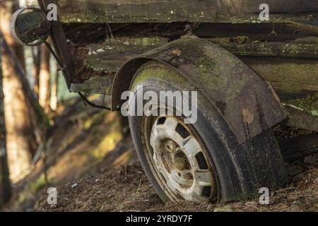 Das rostige Rad eines Holzwagens im Wald, umgeben von Natur und Zeichen der Zeit, Neukirchen am Grossvenediger, Salzburg, Österreich, Europa Stockfoto