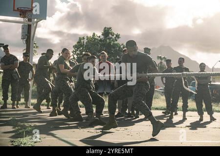 Die US-Marines mit dem Hauptquartier-Bataillon (HQBN), Marine Corps Base Hawaii, treten während des Truthahn Bowl (MCBH) am 20. November 2024 an einem Tauziehen-o-war-Wettbewerb an. Der Truthahn Bowl wird jährlich während der Thanksgiving-Saison ausgetragen, um einen gesunden Wettbewerb zu fördern. (Foto des U.S. Marine Corps von CPL. Dezmond Browning) Stockfoto