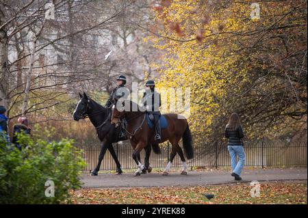 London, Großbritannien. Dezember 2024. Polizisten werden beim Patrouillieren im St. James Park gesehen. Der Amir des Staates Katar, begleitet von Sheikha Jawaher bint Hamad bin Suhaim Al Thani, besucht die United (Foto: David Tramontan/SOPA Images/SIPA USA) Credit: SIPA USA/Alamy Live News Stockfoto