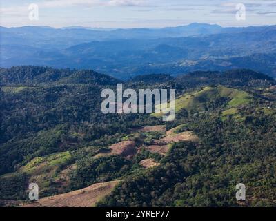 Aus der Vogelperspektive werden weite grüne Hügel und Berge mit sichtbaren Stellen der Abholzung bei Tageslicht erfasst. Stockfoto