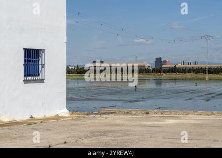 Der Albufera-Nationalpark (Parc Natural de l’Albufera) ist ein Naturschutzgebiet in Spanien, Provinz Valencia, Spanien, Europa. Stockfoto