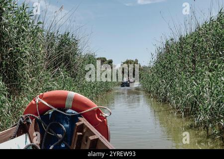 Der Albufera-Nationalpark (Parc Natural de l’Albufera) ist ein Naturschutzgebiet in Spanien, Provinz Valencia, Spanien, Europa. Stockfoto