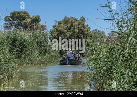 Der Albufera-Nationalpark (Parc Natural de l’Albufera) ist ein Naturschutzgebiet in Spanien, Provinz Valencia, Spanien, Europa. Stockfoto