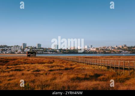 Malerische Landschaft mit einer hölzernen Fußbrücke, die sich über ein trockenes Grasfeld erstreckt und in Richtung der modernen Skyline von Porto, portugal, führt Stockfoto