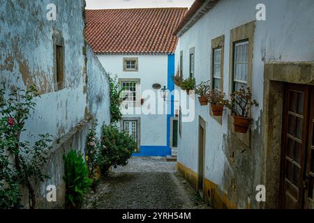 Verwinkelte Kopfsteinpflasterallee in obidos, portugal, mit weiß getünchten Häusern, Blumentöpfen und traditioneller Architektur, schaffen Sie eine ruhige Atmosphäre Stockfoto