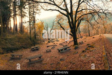 Golden Hour beleuchteter Picknickbereich im Nationalpark geres, portugal Stockfoto