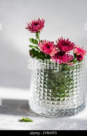 Leuchtend rosa Blüten, angeordnet in einer klaren, strukturierten Glasvase, wirft das Sonnenlicht zarte Schatten und hebt die komplizierten Details der Blütenblätter und des gl hervor Stockfoto