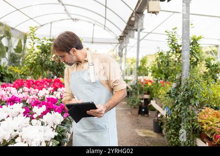 Ein engagierter Gärtner mit Schürze inspiziert lebendige Blumen in einem Gewächshaus und verwaltet mit einem Tablet Pflanzenpflegedetails in einem geschäftigen Gartengeschäft Stockfoto