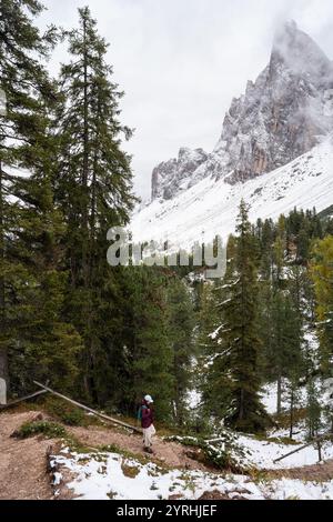 Ein einsamer Wanderer erkundet einen friedlichen, verschneiten Pfad, umgeben von dichten Kiefern und hohen Gipfeln in Italiens atemberaubenden Dolomiten, die die Natur einfangen Stockfoto