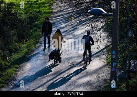 Hinterhoffassade farbenfroher Wohnblöcke in einem sozialen Viertel in Laeken, Brüssel, Belgien, 29. November 2024 Stockfoto