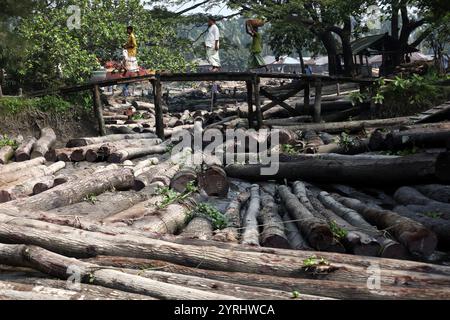 Swarupkathi, Pirojpur, Bangladesch. Dezember 2024. Der größte schwimmende Holzmarkt in Bangladesch befindet sich in Swarupkathi Upazila im Bezirk Pirojpur. Anfang 1917 begann Swarupkathi in Pirojpur seine Reise als Holzdrehscheibe um Sundari-Bäume. Ende 1918 wurde ein schwimmender Holzmarkt am Ufer des Sandhya River in Swarupkathi gegründet. Der Markt bietet eine große Auswahl an einheimischen Hölzern, darunter Mahagoni, Champagner und raintree. Händler aus dem ganzen Land kaufen auf diesem Upazila-Markt Holz im Wert von eineinhalb bis zwei Mrd. BDT. Diese Hölzer werden dann transpo Stockfoto