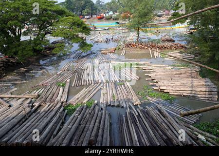 Swarupkathi, Pirojpur, Bangladesch. Dezember 2024. Der größte schwimmende Holzmarkt in Bangladesch befindet sich in Swarupkathi Upazila im Bezirk Pirojpur. Anfang 1917 begann Swarupkathi in Pirojpur seine Reise als Holzdrehscheibe um Sundari-Bäume. Ende 1918 wurde ein schwimmender Holzmarkt am Ufer des Sandhya River in Swarupkathi gegründet. Der Markt bietet eine große Auswahl an einheimischen Hölzern, darunter Mahagoni, Champagner und raintree. Händler aus dem ganzen Land kaufen auf diesem Upazila-Markt Holz im Wert von eineinhalb bis zwei Mrd. BDT. Diese Hölzer werden dann transpo Stockfoto