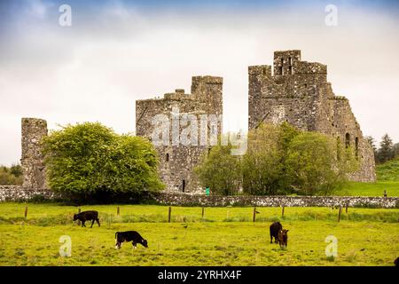 Irland, County Westmeath, Fore, Ruinen der St. Feichin’s Abbey Stockfoto