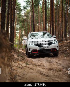 White Citroen C5 Aircross im Wald. Kompakte Crossover-Fahrt auf unbefestigter Straße im Kiefernwald in Richtung Kamera. Stockfoto
