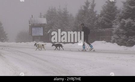 In den Mittelgebirgen überwintert es so langsam richtig ein. Die Großwetterlage stellt sich um und also sind in den nächsten Tagen vor allem in den Mittelgebirgen immer wieder Schneefälle zu erwarten. 20 Tage vor Weihnachten gibt es perfektes Weihnachtsmarktwetter im Erzgebirge. In Oberwiesenthal schmeckte der Glühwein am Mittwoch bei Schneetreiben und - 1 ÂC so richtig gut. Die Lifte stehen noch still, hofft man aber auf einen baldigen Start in die Skisaison. Erste Skifahrer waren auf dem Fichtelberg dennoch unterwegs. Die Rodelbahn ist zwar auch hier noch gesperrt, sollte aber bald geöffnet wer Stockfoto