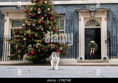 London, England, Großbritannien. Dezember 2024. LARRY, die Katze aus der Downing Street, wird vor Nummer 10 gesehen. (Kreditbild: © Tayfun Salci/ZUMA Press Wire) NUR REDAKTIONELLE VERWENDUNG! Nicht für kommerzielle ZWECKE! Stockfoto