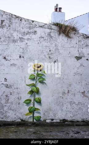 Eine bemalte Sonnenblume an der Seite einer Mauer im zeitlosen Fischerhafen Staithes an der Küste von North Yorkshire. Stockfoto