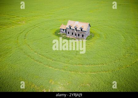 Ein kleines Haus sitzt mitten auf einem großen Feld. Das Haus ist von hohem Gras umgeben und er wird verlassen. Die Szene ist friedlich und ruhig Stockfoto
