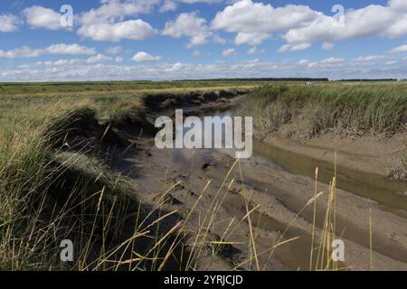 Die Landschaft und die Gezeitenkanäle des Salzwiesen Verdronken Land van Saeftinghe bei Hulst in Zeeland, Niederlande. Stockfoto