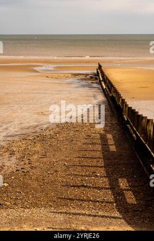 Holzgegend und ihr Schatten erstrecken sich entlang eines Sand- und Kieselstrandes bis zum Meer Stockfoto