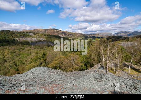 Landschaft zwischen Hodge Close Steinbruch und Little Langdale nördlich von Coniston im Lake District Nationalpark. Stockfoto