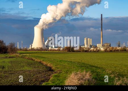 Das STEAG Kohlekraftwerk Duisburg-Walsum, auf dem Gelände der ehemaligen Zeche Walsum, am Rhein, Block 10 in Betrieb, 181 Meter hoher Kühlturm, Wolke aus Wasserdampf und Abgasen, Reingaseinleitung, Strom und Fernwärme Produktion, Niederrhein Landschaft, Duisburg, NRW, Deutschland STEAG Kohlekraftwerk *** das STEAG Kohlekraftwerk Duisburg Walsum, auf dem Gelände 181 der ehemaligen Abgastürme Walsum, auf dem Rhein, Anlage 10, Wasserdampf- und Wasserdampf- oder Wasserableiter im Betrieb, Wasserableitung, Wasserableitungsturm Strom- und Fernwärmeerzeugung, Niederrheinlandschaft, Duisbu Stockfoto