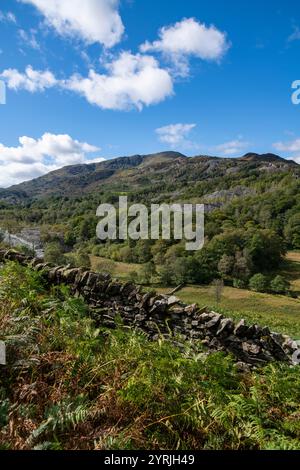 Landschaft zwischen Hodge Close Steinbruch und Little Langdale nördlich von Coniston im Lake District Nationalpark. Stockfoto