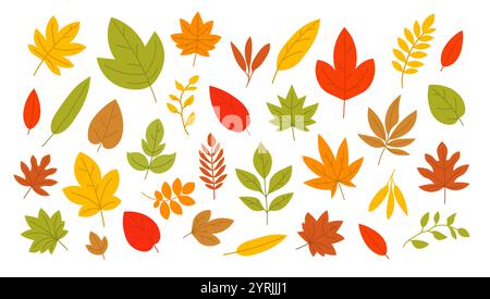 Farbenfrohe Herbstblätter in verschiedenen Formen. Herbstlaub-Illustration mit Blättern in Rot, Orange, Gelb und Grün Stock Vektor