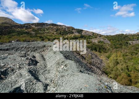 Landschaft zwischen Hodge Close Steinbruch und Little Langdale nördlich von Coniston im Lake District Nationalpark. Stockfoto