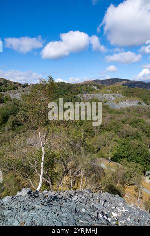 Landschaft zwischen Hodge Close Steinbruch und Little Langdale nördlich von Coniston im Lake District Nationalpark. Stockfoto