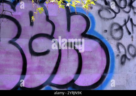Graffiti-Wort SKGK, gezeichnet von einem Lapdog in rosa, blauen, schwarzen Buchstaben mit einer fanny-Form. Das grafische Design ist chaotisch, wenn eine Farbe gewaschen werden kann. Stockfoto
