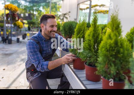 Lächelnder Arbeiter, der sich um Thuja-Pflanzen in Blumentöpfen im Gewächshaus kümmert Stockfoto