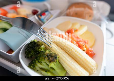 BANGKOK, THAILAND - 09. JANUAR 2019: Essen auf einem Tablett in der Economy Class auf Emirates A380-800. Emirates ist einer der beiden Flaggenträger der Uni Stockfoto