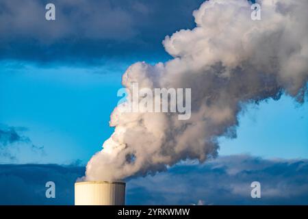 Kühlturm des STEAG Kohlekraftwerks Duisburg-Walsum, auf dem Gelände der ehemaligen Zeche Walsum, am Rhein, Block 10 in Betrieb, 181 Stockfoto