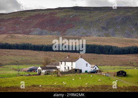 UK, County Durham, Teesdale, Forest in Teesdale, abgelegenes Farmhaus unterhalb der Green Hill Scar Stockfoto