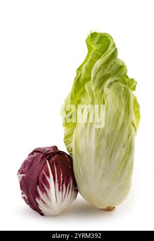 Rote und grüne Zichorie isoliert auf weißem Hintergrund Stockfoto