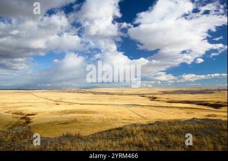 Landschaft rund um den Buffalo Jump, Head Smashed-in Buffalo Jump Centre. Fort Macleod. Alberta, Kanada Stockfoto