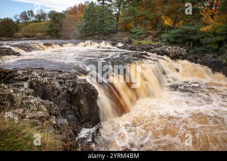 UK, County Durham, Teesdale, Bowlees, Low Force, Hauptfälle am Fluss Tees Stockfoto