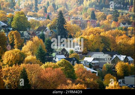 Herbstblick auf die Stadt vom Gyro Park. Nelson. British Columbia, Kanada Stockfoto