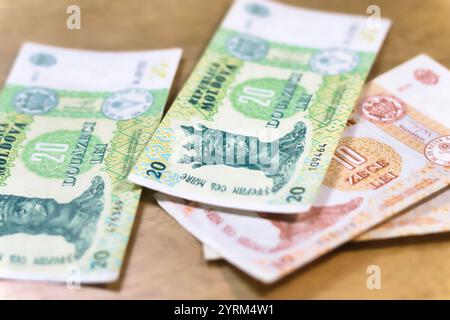 Nahaufnahme mehrerer moldauischer Leu-Banknoten, die überwiegend 20 lei-Stückelungen zeigen, auf einer hellbraunen Oberfläche. Die Banknotendispla Stockfoto