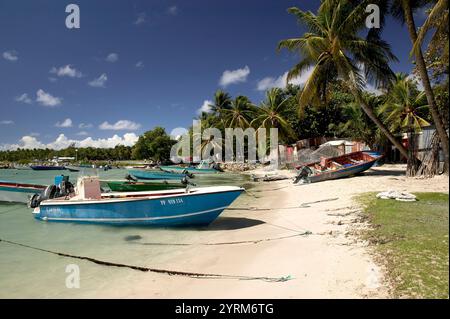 Französisch-Westindien (FWI), Guadeloupe, Grande Terre Island, Sainte-Anne: Caravelle Beach, Fischerhafen Stockfoto