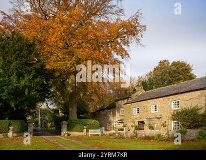 Großbritannien, County Durham, Romaldkirk, Ferienhäuser neben Village Green Stockfoto