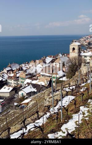 Weinstadt am Genfer See / Winter. Corniche de Lavaux. Saint-Saphorin. Schweizer Riviera. Waadt. Schweiz. Stockfoto