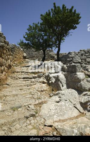 Ruinen der dorianischen Stadt Lato (ca. 700 v. Chr.). Treppenaufgang. Das Antike Lato. Provinz Lasithi. Kreta. Griechenland. Stockfoto