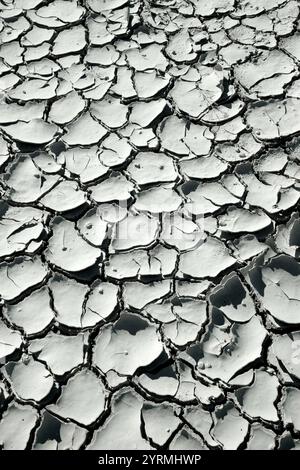 Getrockneter See, Salton Sea Area, Bombay Beach, Kalifornien, USA Stockfoto