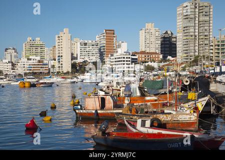 Amerika, Aussen, Draussen, Farbe, Fischerboot, Fischerboote, Hafen, Hafen, Horizontal, Jacht, Jachten, Länder, Plätze der Welt, Punta del Este, Reisen Stockfoto