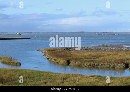 Ein Salzwiesen mit Flut im westlichen scheldmeer an der niederländischen Küste im Delta in zeeland im Herbst Stockfoto