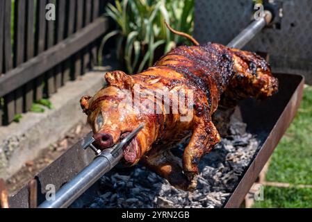 Ganze Ferkelbraten am offenen Feuer auf dem Grill im Garten, traditionelle Balkangerichte. Stockfoto