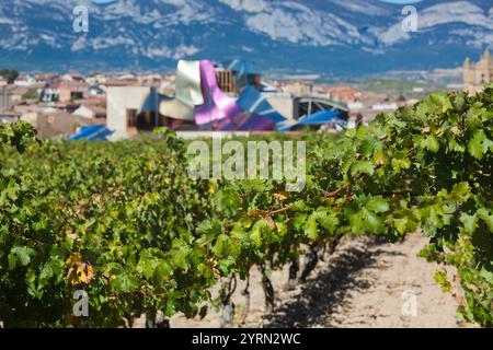 Spanien, Land Baskenland, La Rioja-Gebiet, Provinz Alava, Elciego, Blick auf die erhöhten Stadt und Hotel Marques de Riscal, entworfen von Architekt Frank Gehr Stockfoto